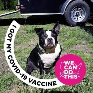 Meet your Posher, Gracie